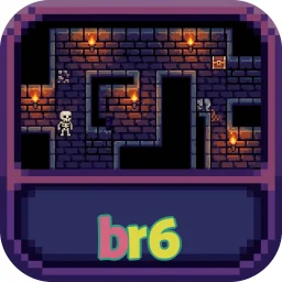 br6