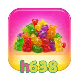h638
